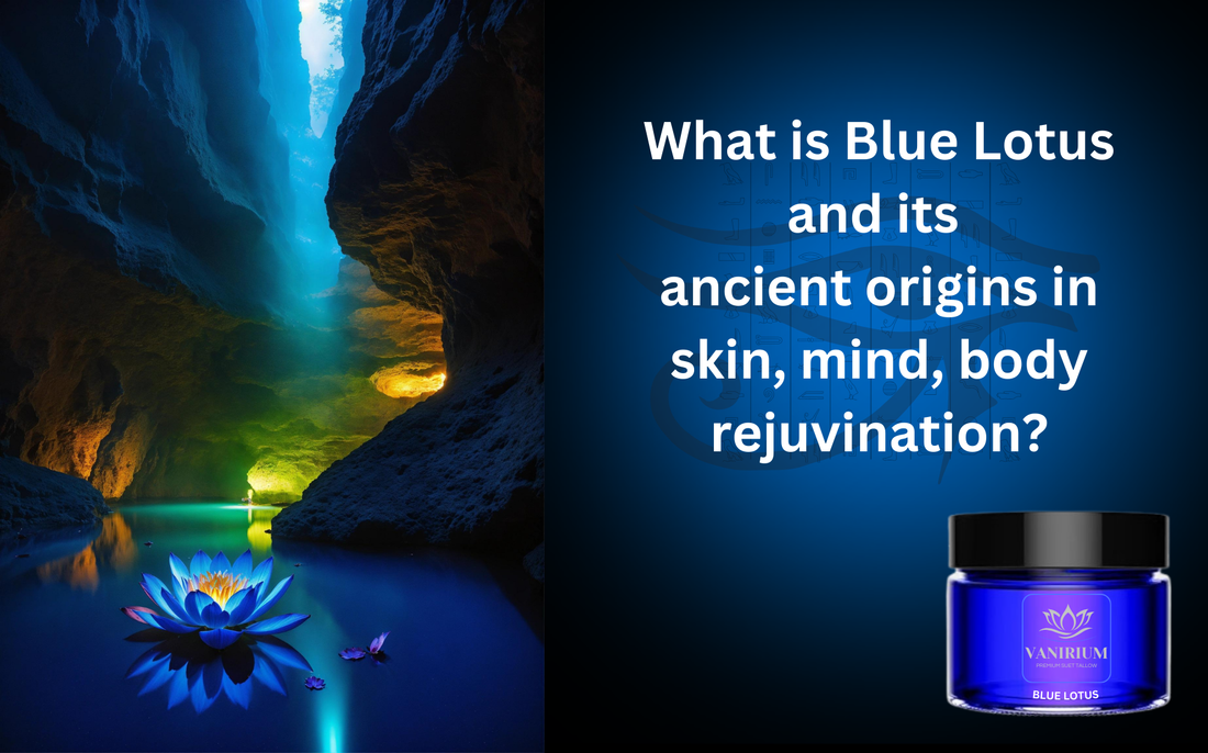 What is Blue Lotus and its ancient uses in skin, mind, body rejuvination?