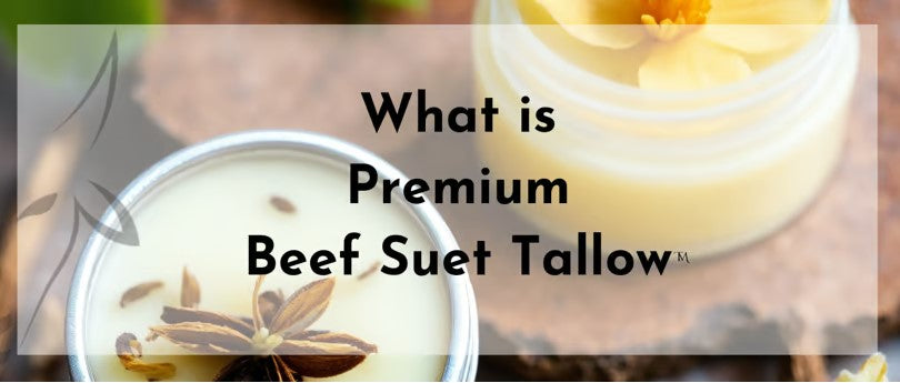 What is Premium Suet Tallow?