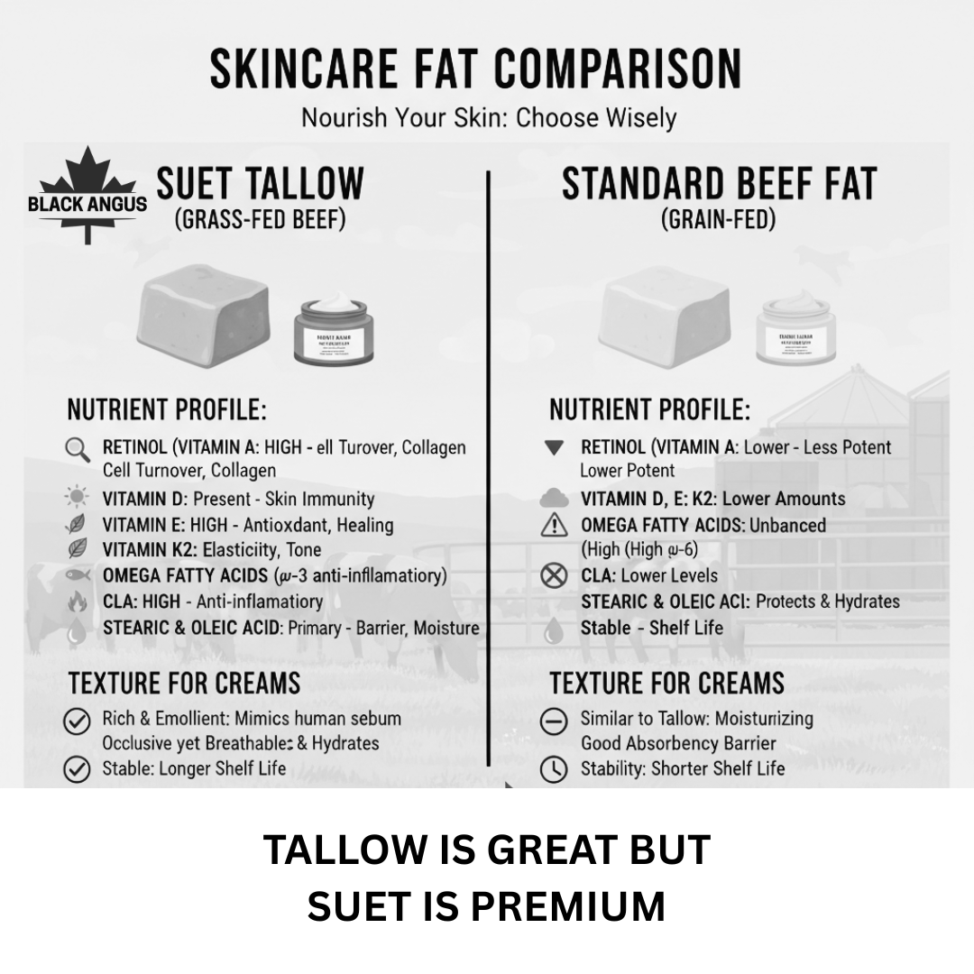 100% Pure Suet Tallow Balm ~Mini 15g