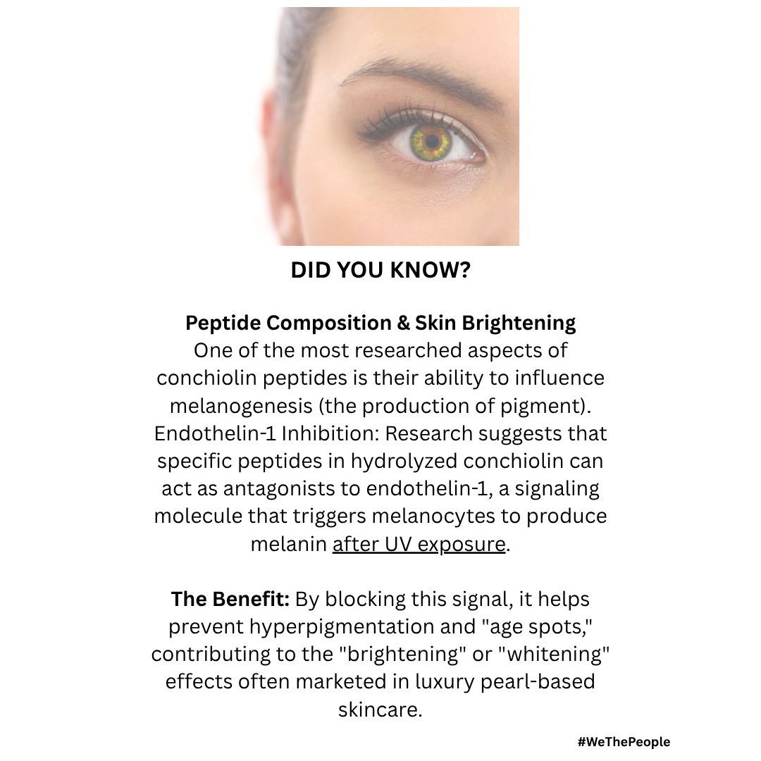 Pearl powder science infographic explaining peptide composition, Endothelin-1 inhibition, and skin brightening benefits for hyperpigmentation. Canada NaturalProducts.ca 