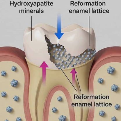 Scientific diagram showing Hydroxyapatite minerals repairing a tooth. Blue arrows demonstrate the reformation of the enamel lattice as MCHA minerals fill in microscopic gaps, while pink arrows show internal tooth support. Visualizes the process of natural enamel remineralization and sensitivity relief.